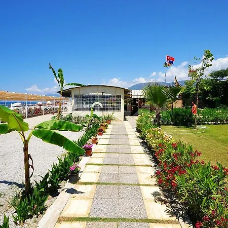 Seaside Homes *